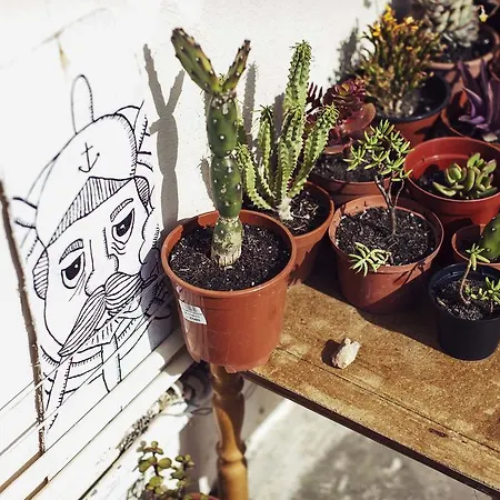 Granny's Vandrerhjem Sliema