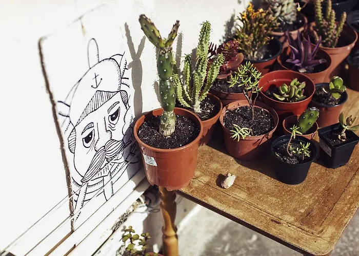 Granny's 旅馆 斯利马